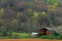 Springtime on a farm in rural West Virginia.