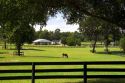 Thoroughbred horse farms in Marion County, Florida.