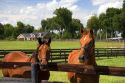 Thoroughbred horse farm in Marion County, Florida.