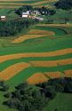 Aerial view of contour strip farming corn and alfalfa hay in Southwest Wisconsin.