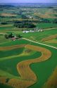 Contour strip farming corn and alfalfa hay in Southeast Iowa.