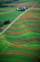 Aerial view of contour strip farming corn and alfalfa hay in Southwest Wisconsin.