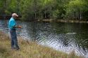 Man fishing in Everglades National Park with American Alligator in water, Florida.