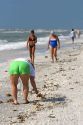 Beachcombers searching for seashells on the beach at Sanibel Island on the Gulf Coast of Florida.