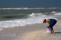 Beachcomber searching for seashells on the beach at Sanibel Island on the Gulf Coast of Florida.