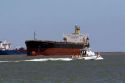 Cargo ship and U.S. Coast Guard patrol boat in Galveston Bay, Texas.