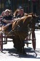 Horse and carriage ride in the Strand District of downtown Galveston, Texas.