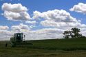 Swather harvesting alfalfa hay in Canyon County, Idaho.