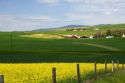 Farmland at Grangeville, Idaho.