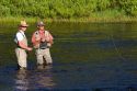 Guide and fly fisherman on the Lewis River in Yellowston National Park, Wyoming.
