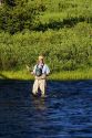 Fly fishing on the Lewis River in Yellowstone National Park, Wyoming.