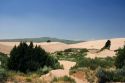 Sand dunes at St. Anthony, Idaho.