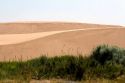 Sand dunes at St. Anthony, Idaho.