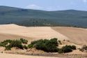 Sand dunes at St. Anthony, Idaho.