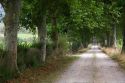 Rural dirt country road near the town of Solares, Cantabria, Spain.
