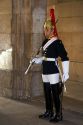 Trooper of the Household Cavalry of the British Army guarding the Horse Guards in London, England.