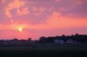 Cattle graze on farmland at sunset near Sioux Falls, South Dakota.