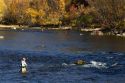 Fly fishing on the south fork of the Boise River in Elmore County, Idaho, USA.