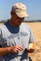 Farmer checks for the moisture content of harvested onions in Canyon County, Idaho, USA. MR