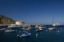 The Catalina Casino and Avalon harbor on Catalina Island, California, USA.