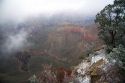 Snow storm at the South Rim of the Grand Canyon, Arizona, USA.