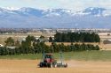 Farmer planting corn crop in Canyon County, Idaho, USA.