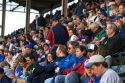 Chicago Cubs fans at Wrigley Field in Chicago, Illinois, USA.