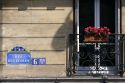 Flower box on the balcony of a building located in the Latin Quarter of Paris, France.