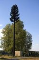 Cell site tower camouflaged as a pine tree in Northern France.