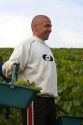 Workers hand harvest grapes from a vineyard near the city of Chalons-en-Champagne in northeast France.