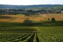 Grapevine plantation and the commune of Charly-sur-Marne in the Champagne province of northeast France.