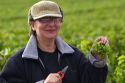 Workers hand harvest grapes from a vineyard near the city of Chalons-en-Champagne in northeast France.