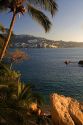 Acapulco Bay and palm tree at Acapulco, Guerrero, Mexico.