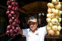 Costa Rican man selling onions at La Virgen, Costa Rica.