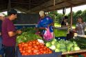 Outdoor produce market at Venecia, Costa Rica.