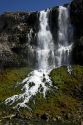 Natural spring water flowing out of lava rock at the Thousand Springs area of the Snake River in the Hagerman Valley, Idaho, USA.