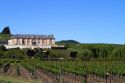 Domaine Carneros Winery and vineyards in the Napa Valley, California, USA.