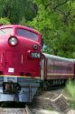 The Thunder Mountain Line scenic tourist train traveling along the Payette River between Horseshoe Bend and Banks, Idaho, USA.
