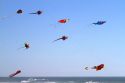 People flying kites along the D River in Lincoln City, Oregon, USA.