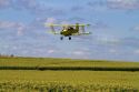Crop duster spraying pesticide on a corn crop near Jerome, Idaho, USA.