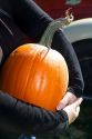 Woman choosing a pumpkin at a pumpkin patch in Fruitland, Idaho, USA. MR