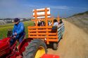 Tractor ride at the Flower Fields at Carlsbad, California, USA.
