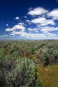 Sagebrush desert in Elmore County, Idaho, USA.