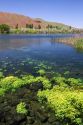 The Snake River at Thousand Springs State Park in the Hagerman Valley, Idaho, USA.