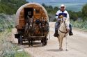 Covered wagon being pulled by mules at the City of Rocks National Reserve and state park in Cassia County, Idaho, USA.