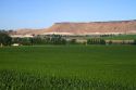 Corn field near the Snake River at Glenns Ferry, Idaho, USA.