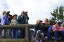 Tourists viewing wildlife in Yellowstone National Park, USA.