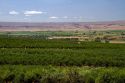 Fruit orchards at Sunny Slope near Marsing, Idaho, USA.