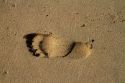 Footprint in the sand at Polihale Beach and State Park located on the western side of the island of Kauai, Hawaii, USA.