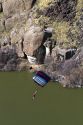 A BASE jumper parachuting from the I.B. Perrine Bridge spanning the Snake River canyon at Twin Falls, Idaho, USA.